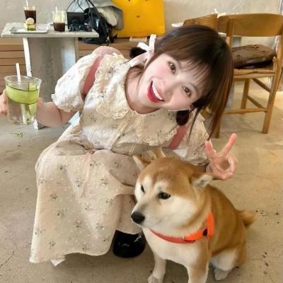 幸福的白天鹅